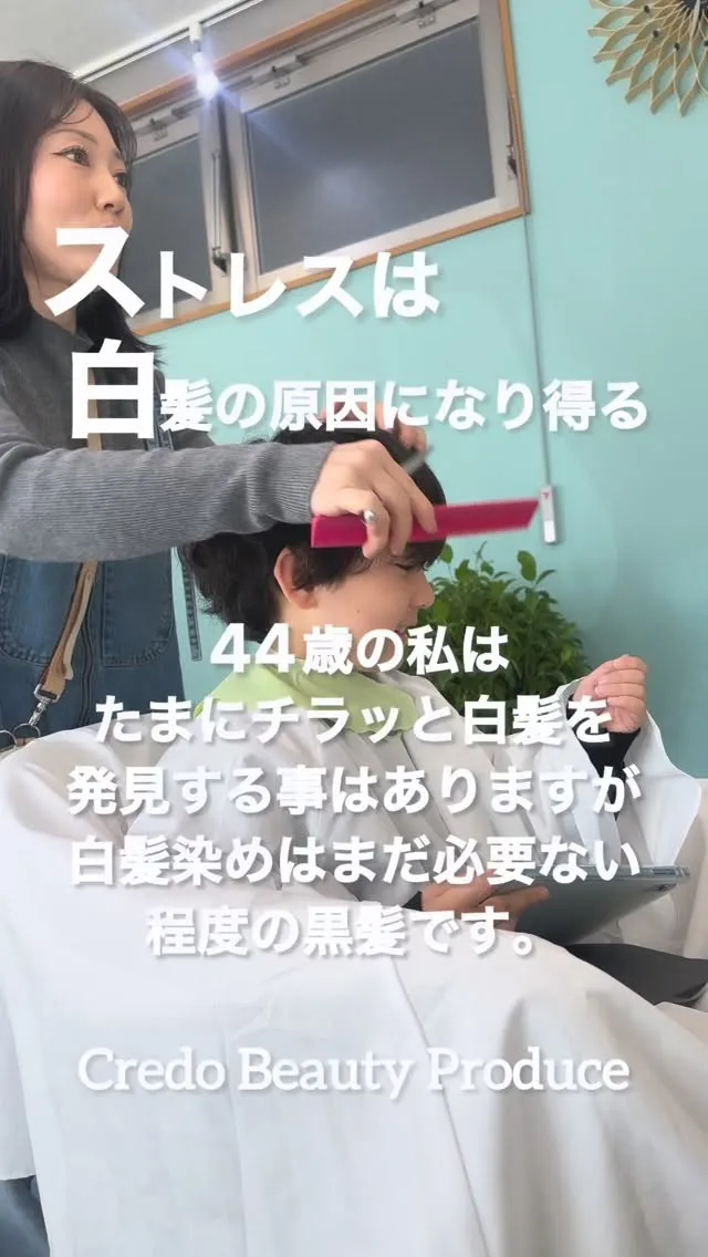 【ストレスは白髪の一因になり得る】